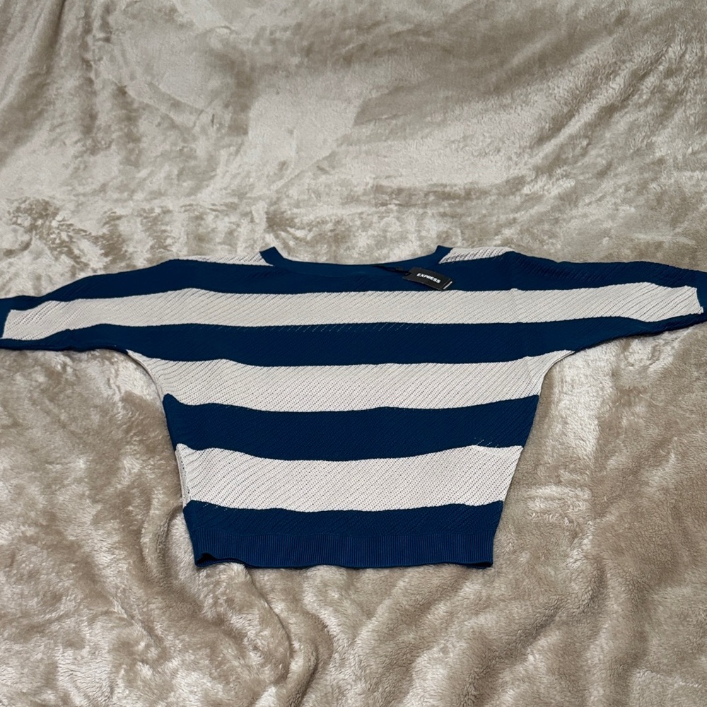 Express Blue and White Striped Blouse